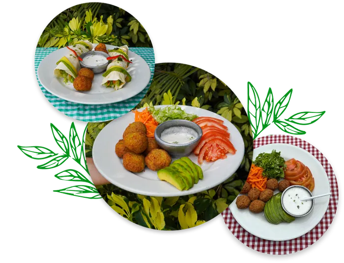 Opciones vegetarianas en Albania Restaurante Campestre