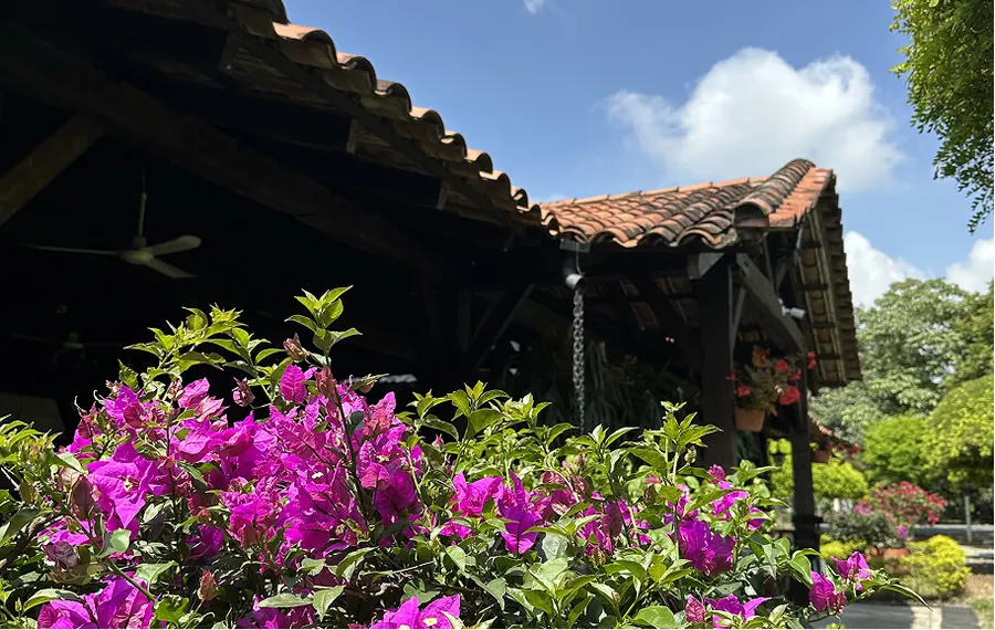 Sede Santa Elena de Albania Restaurante Campestre — imagen 3